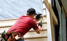 Best Siding Painting and Refinishing  in Spring Arbor, MI